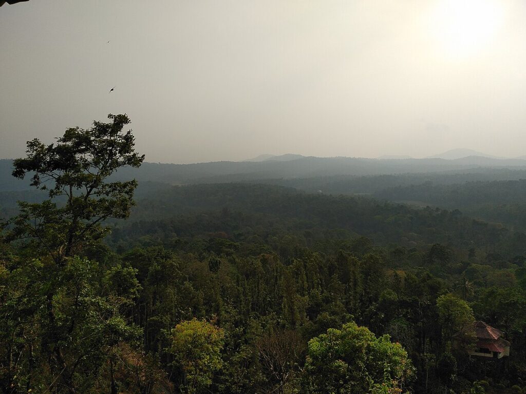 Green valleys and hills in Coorg, Karnataka.