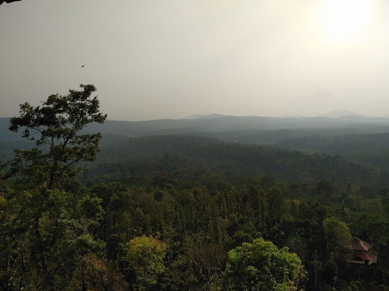 Green valleys and hills in Coorg, Karnataka.
