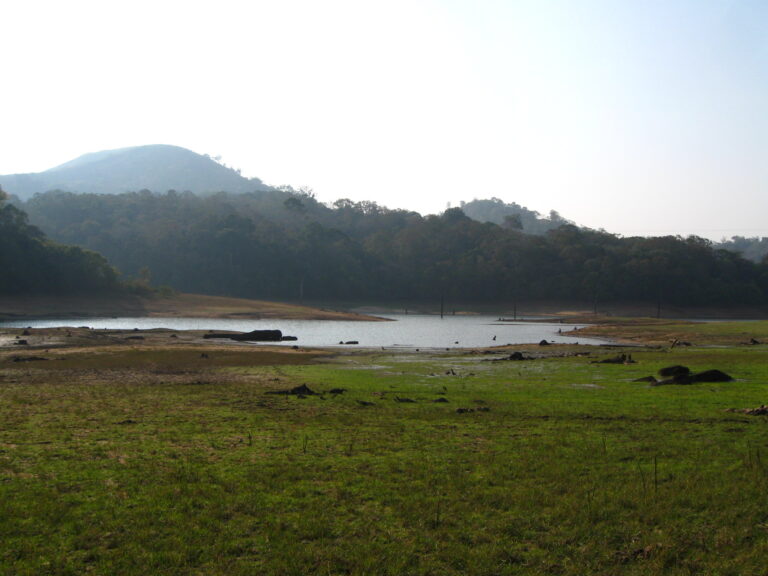 Thekkady Lake surrounded by forest in the Periyar area.
